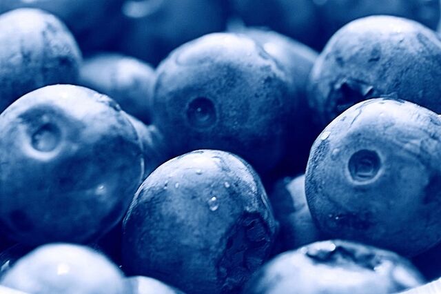 blueberries alang sa ketogenic nga pagkaon